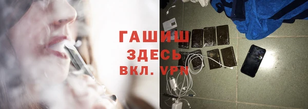 прущие грибы Балахна