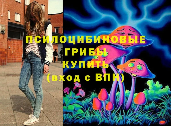 прущие грибы Балахна
