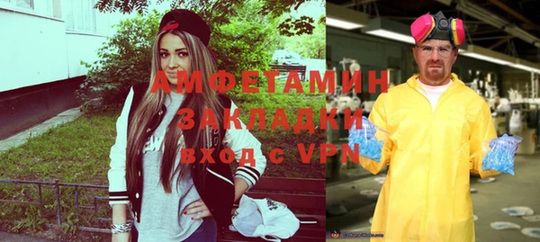 прущие грибы Балахна