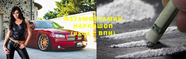 прущие грибы Балахна
